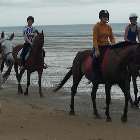 Decouverte D'Un Haras Proche Du Mont St Michel Hambye Kültér fotó
