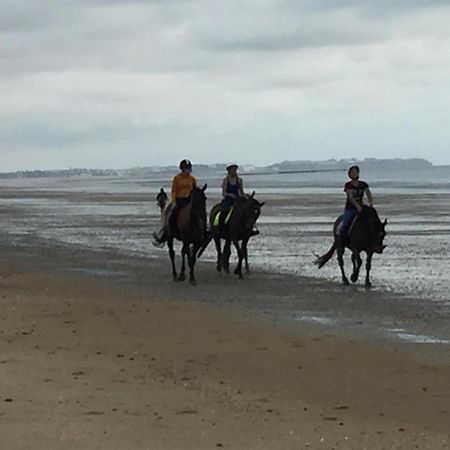 Decouverte D'Un Haras Proche Du Mont St Michel Hambye Kültér fotó