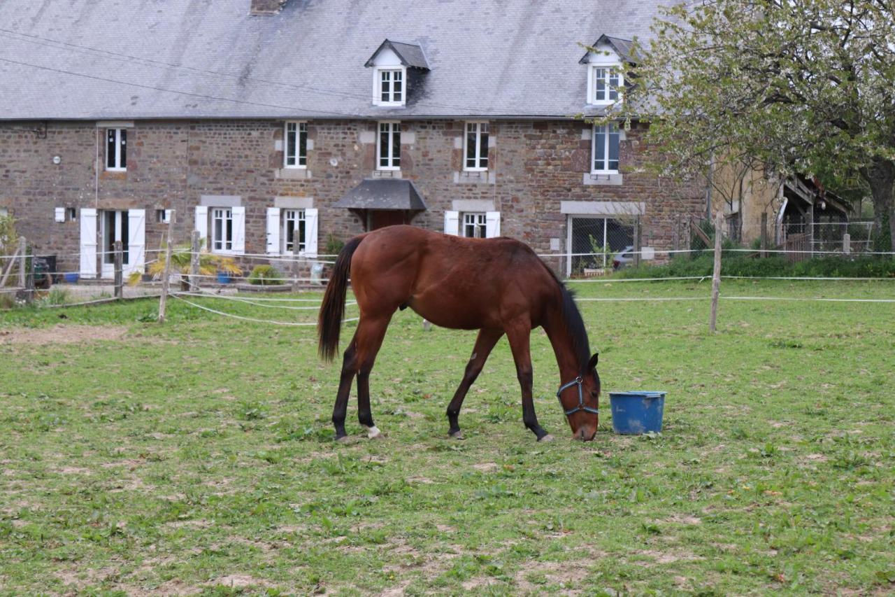 Decouverte D'Un Haras Proche Du Mont St Michel Hambye Kültér fotó