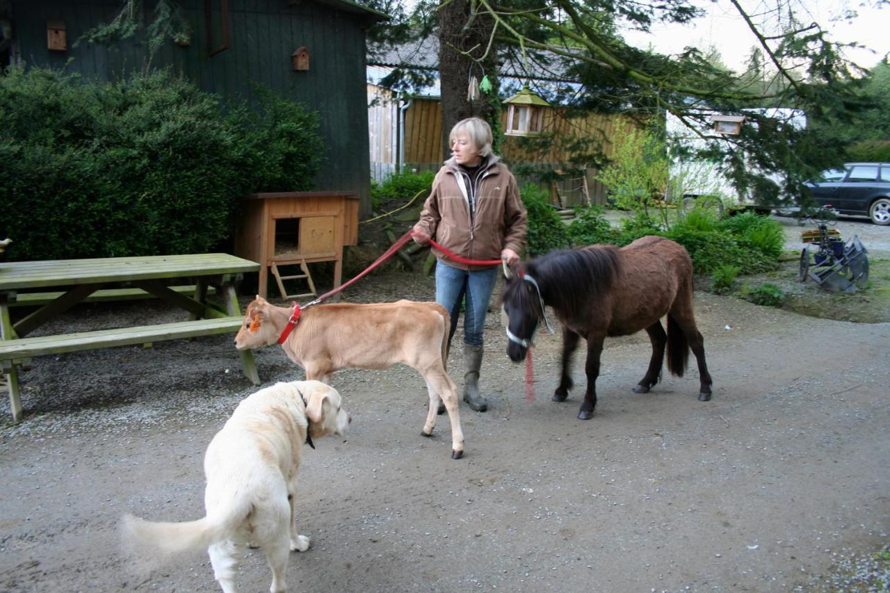 Decouverte D'Un Haras Proche Du Mont St Michel Hambye Kültér fotó