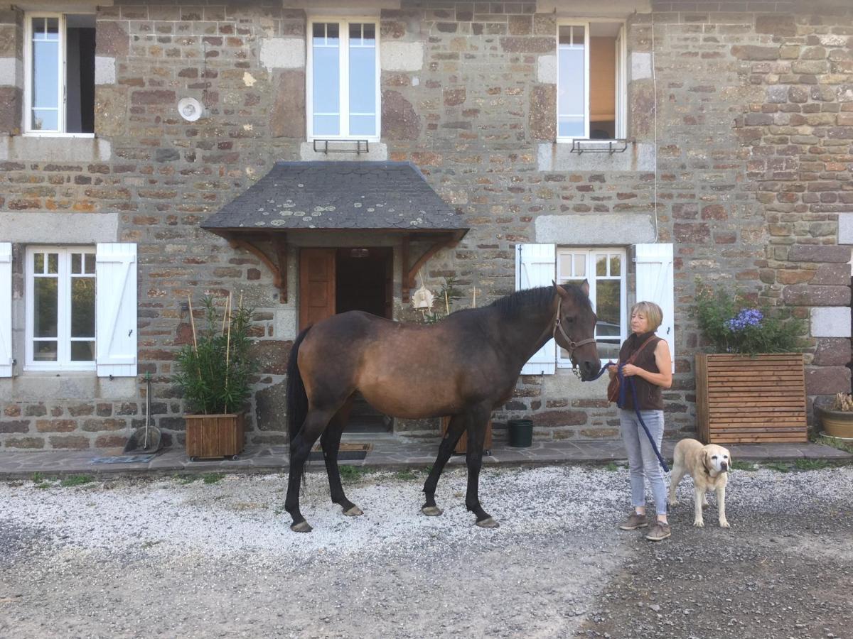 Decouverte D'Un Haras Proche Du Mont St Michel Hambye Kültér fotó