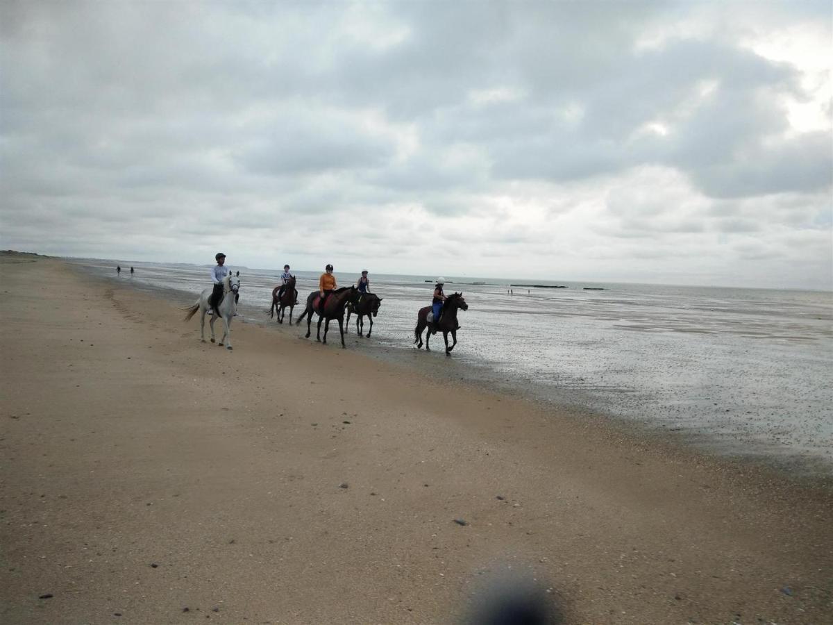Decouverte D'Un Haras Proche Du Mont St Michel Hambye Kültér fotó