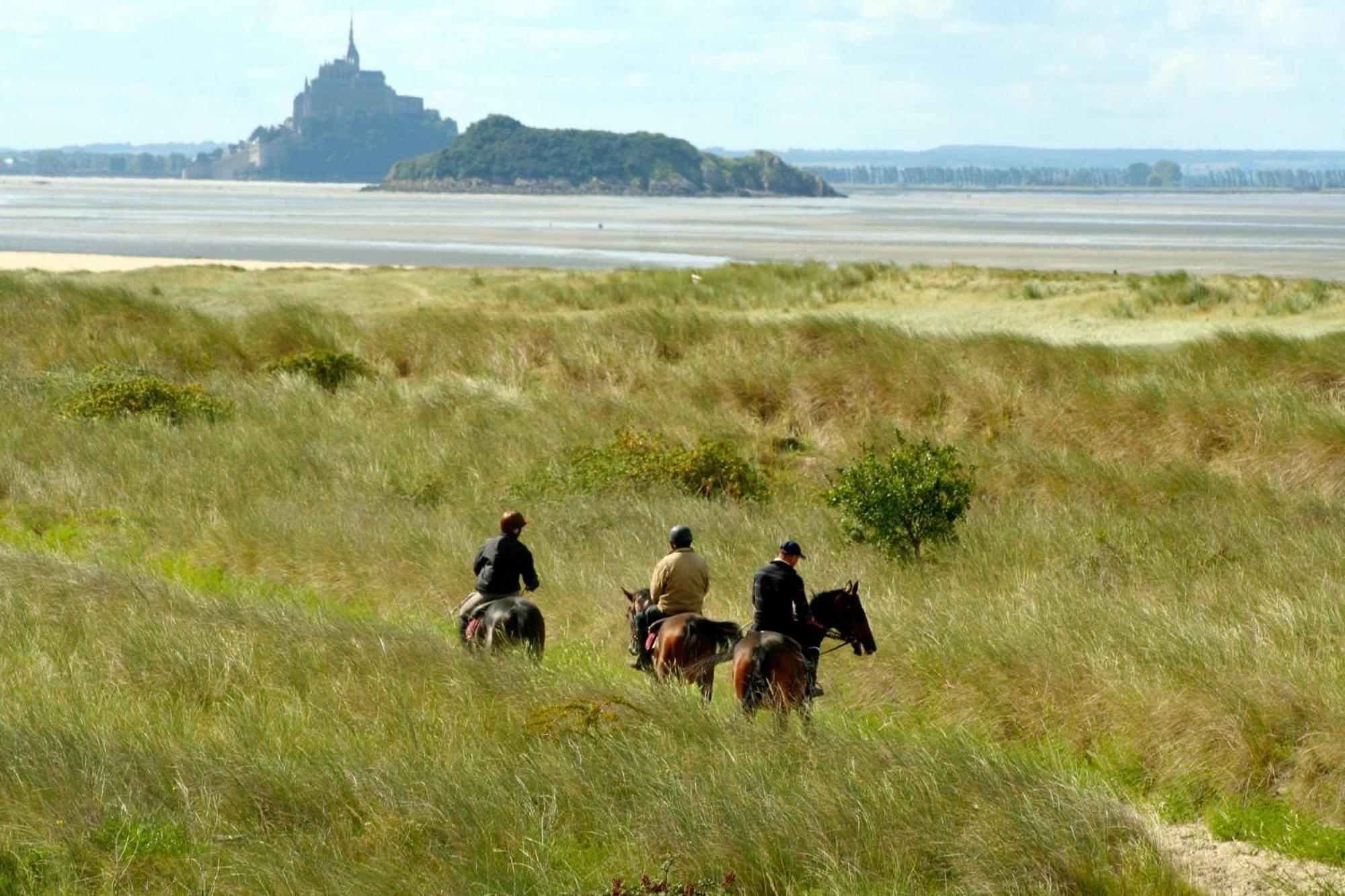 Decouverte D'Un Haras Proche Du Mont St Michel Hambye Kültér fotó