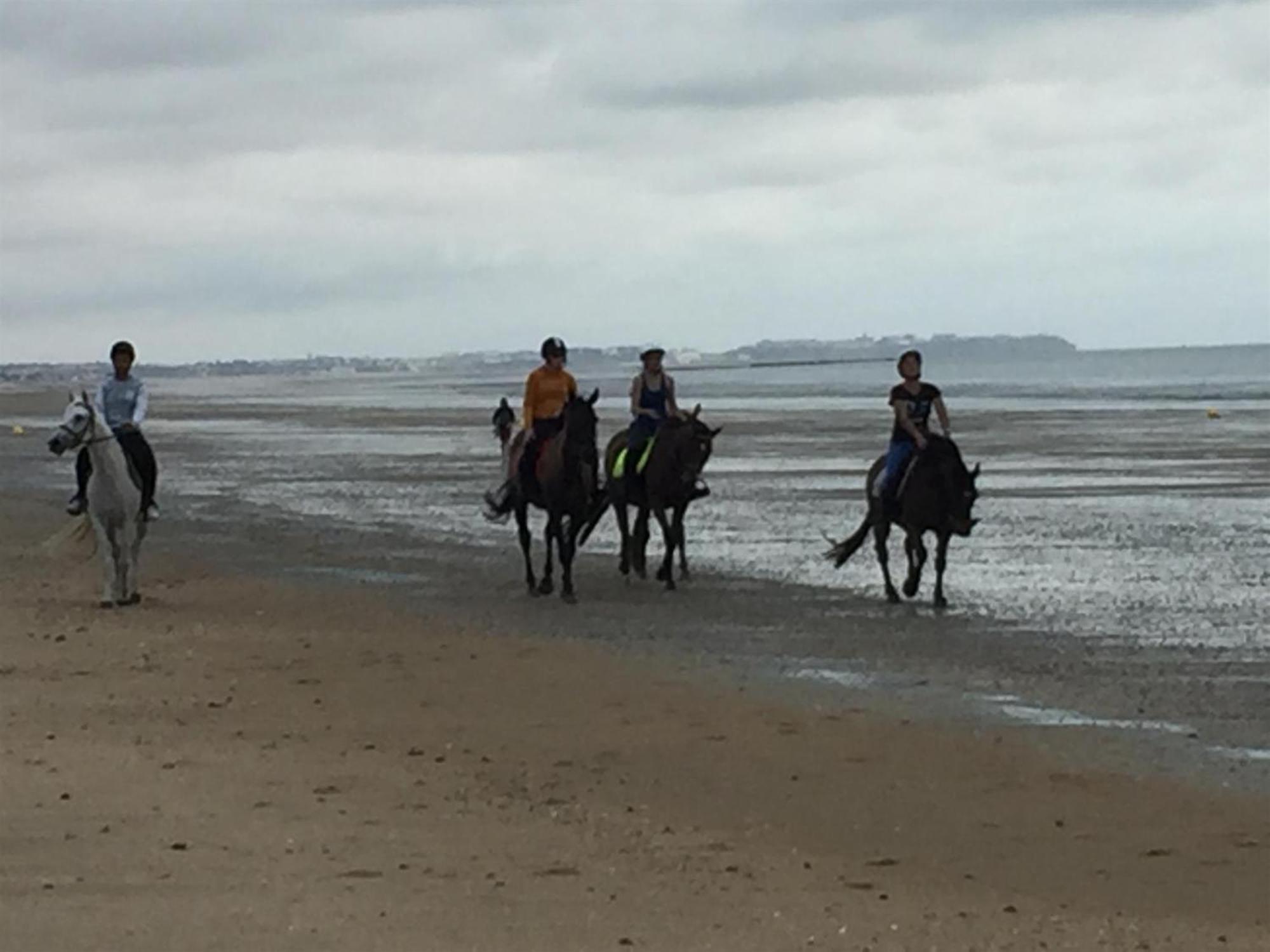 Decouverte D'Un Haras Proche Du Mont St Michel Hambye Kültér fotó