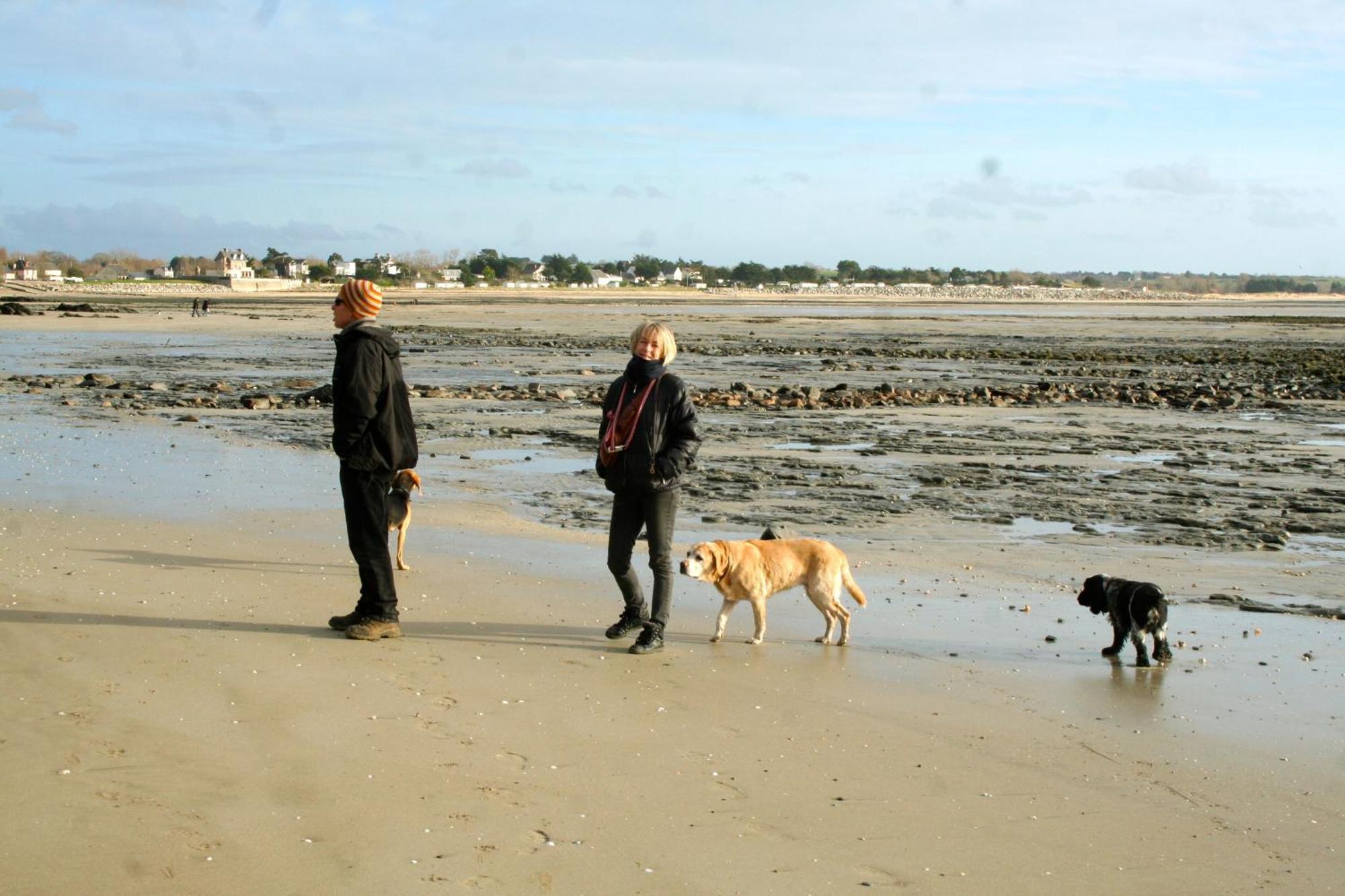 Decouverte D'Un Haras Proche Du Mont St Michel Hambye Kültér fotó