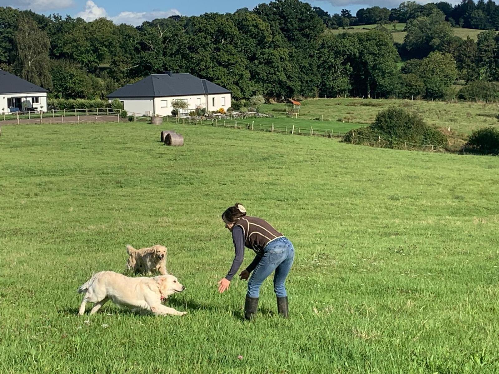 Decouverte D'Un Haras Proche Du Mont St Michel Hambye Kültér fotó