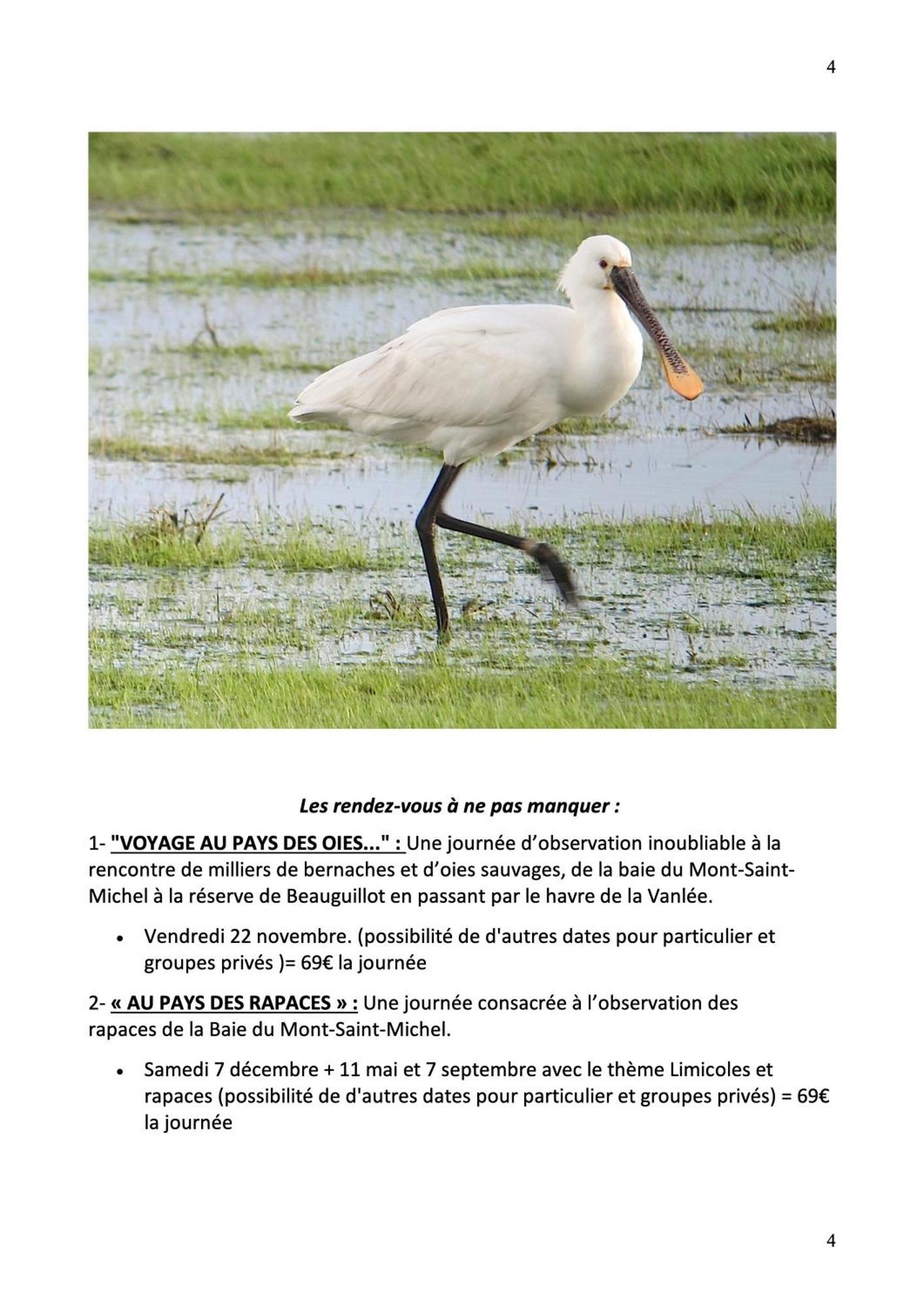 Decouverte D'Un Haras Proche Du Mont St Michel Hambye Kültér fotó